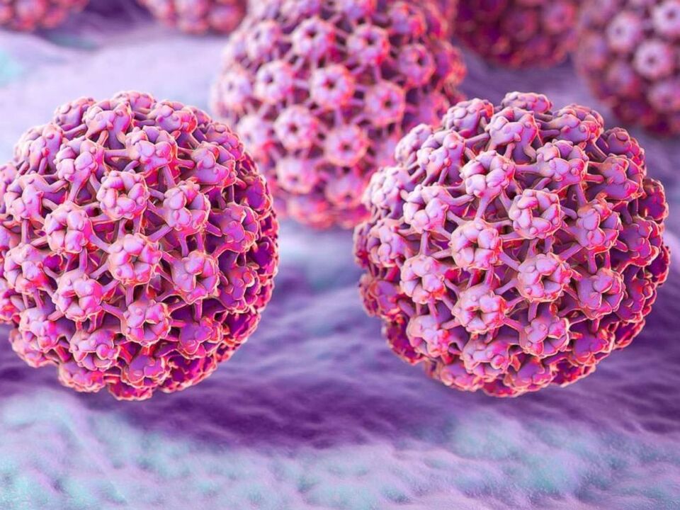 Papillomavirus-Klassifizierung